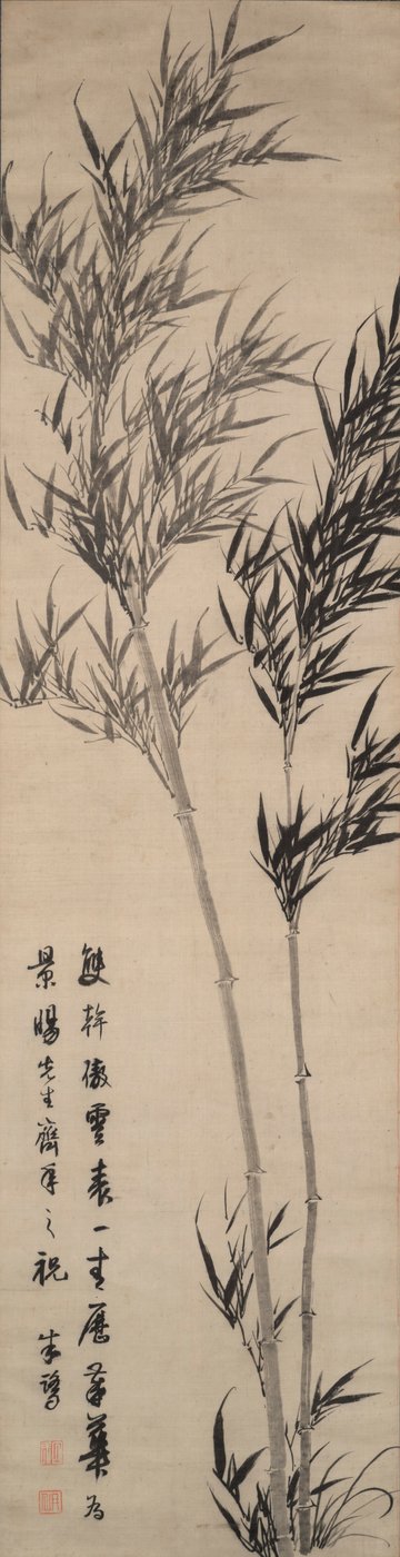 Bambu by Zhu Lu