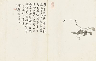 Manzaralar ve Çiçekler, altı yapraklı albüm by Zhu da Bada Shanren