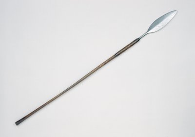 Zulu mızrak veya assegai, Güney Afrika by Zulu