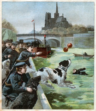 Kurtarma köpeği. Kurtarma köpeği. by John Pardon