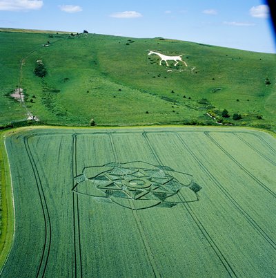 Buğday tarlasında ekin çemberi, Milk Hill, Alton Priors, Pewsey Vale, Wiltshire by Ferdinand Georg Waldmuller