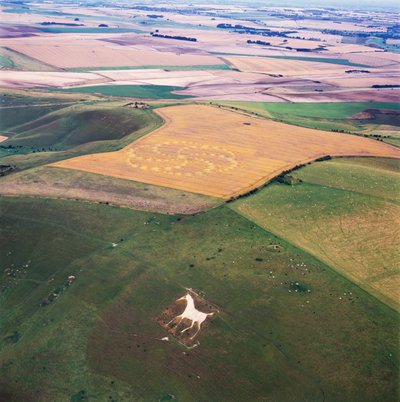 Buğday tarlasında ekin çemberi, Milk Hill, Alton Priors, Pewsey Vale, Wiltshire by Ferdinand Georg Waldmuller