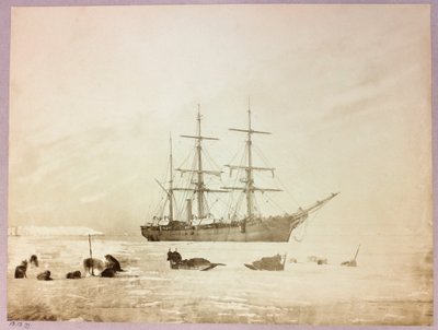 Kaptan George Nares (1831-1915) Kuzey Kutbu Seferi (1875-1876): H by Frederick (attr. to) Barnard