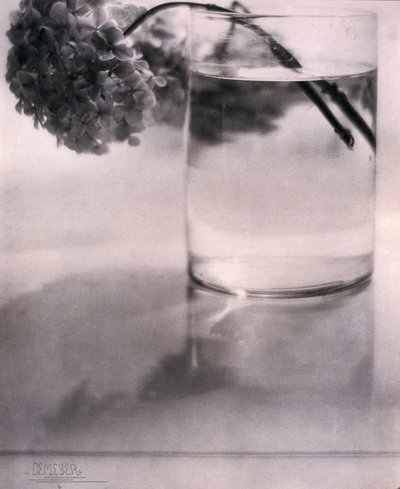 Ortanca, c 1907 by John Pardon