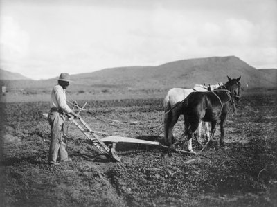 Topraklarını süren Kızılderili, Sacaton Indian Reservation, Arizona, c.1909 (s/b fotoğraf) by . .
