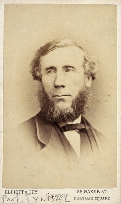 John Tyndall, İrlandalı fizikçi, 1875 dolayları by Frederick (attr. to) Barnard