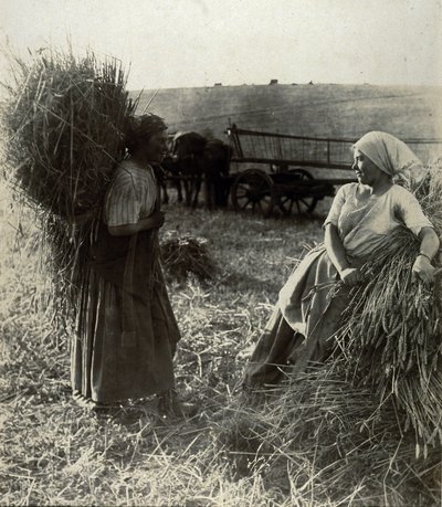 Hasatçılar, 1900 dolaylarında by Frederick (attr. to) Barnard