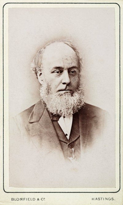 Bay Hackett, Genel Steam Navigasyon Şirketi sekreteri by Frederick (attr. to) Barnard