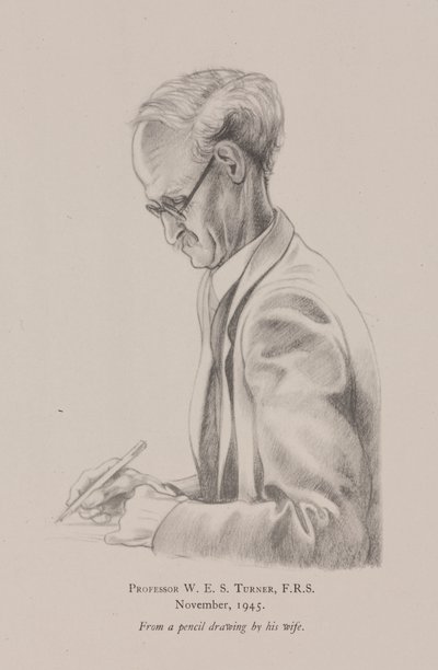 Profesör WES Turner, Kasım by Frederick (attr. to) Barnard
