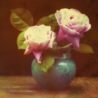 "Güller" by Frederick (attr. to) Barnard