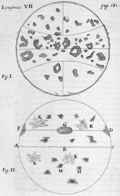 Güneş lekeleri by Frederick (attr. to) Barnard