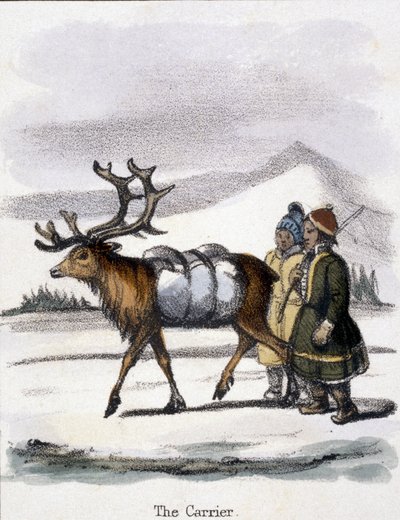 Taşıyıcı