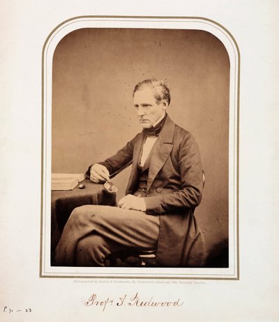 Theophilus Redwood, Galli kimyager by Ferdinand Georg Waldmuller