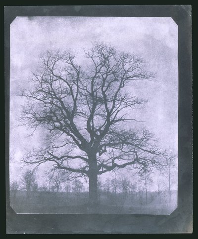 Kışın ağaç, 19. yüzyılın ortalarında by Frederick (attr. to) Barnard