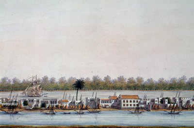 St Louis, Senegal'in görünümü by William Walcutt
