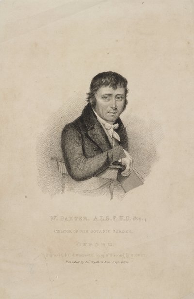 William Baxter, ALS FHS, İngiliz botanikçi, 1820