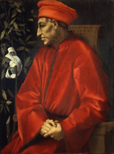 Yaşlı Cosimo
