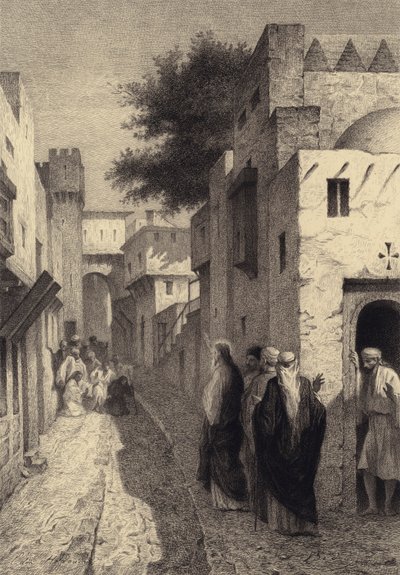 on cüzzamlı by after Albert Robida