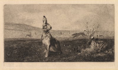tavşan by after Albert de Balleroy