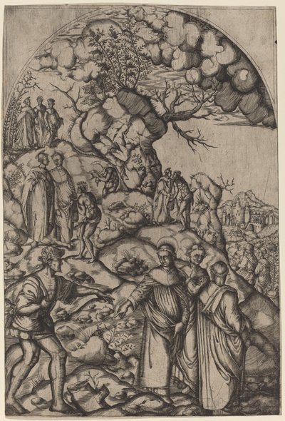 Aziz Filippo Benizzi Bir Dilenciyi İyileştiriyor by after Andrea del Sarto