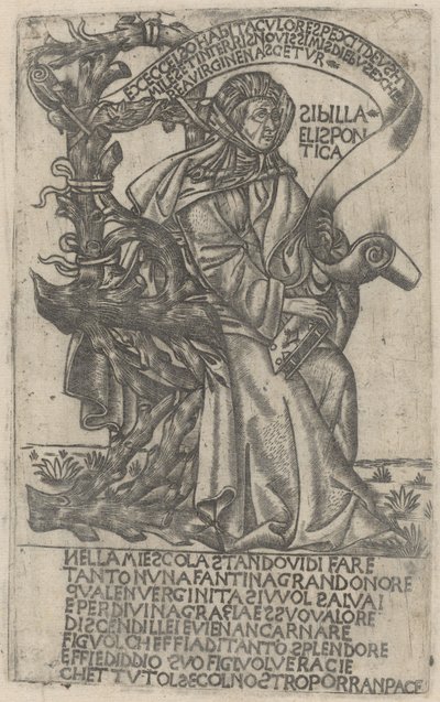 Hellespontin Sibil by after Baccio Baldini