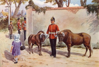 Wildebeestes (veya Beyaz Kuyruklu Gnu), Güney Galler Borderers