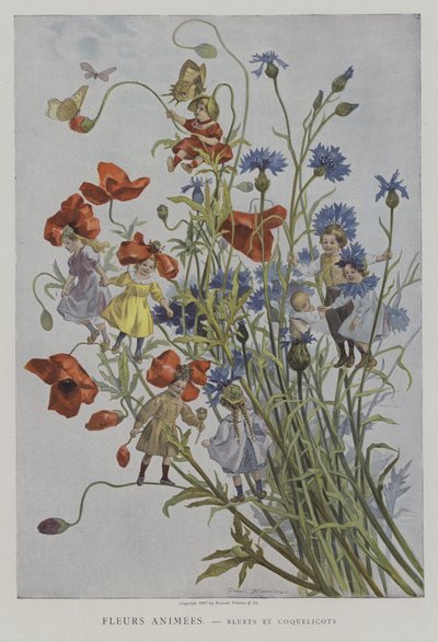 Fleurs Animeleri. Bleuets ve Coquelicots. (Animasyonlu Çiçekler: peygamberçiçekleri ve haşhaşlar) by after Firmin Bouisset