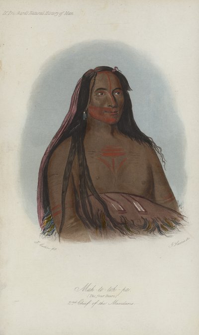 Mah-to-toh-pa, Dört Ayı, Mandanların 2. Şefi (aquatint) by after George Catlin