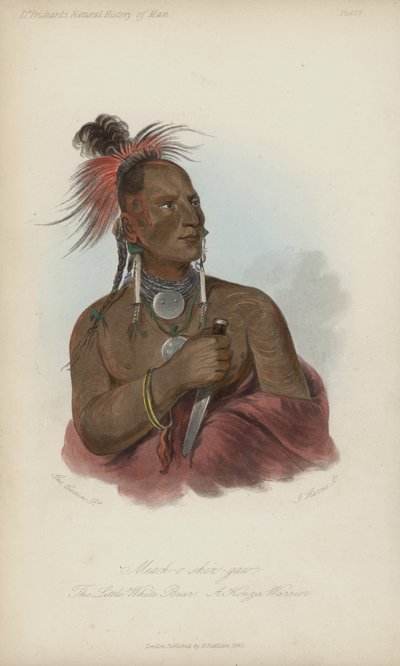 Meach-o shin-gaw, Küçük Beyaz Ayı, Bir Konza Savaşçısı (aquatint) by after George Catlin