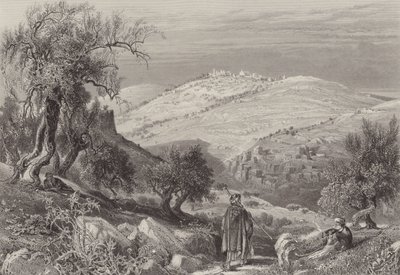 Olivet