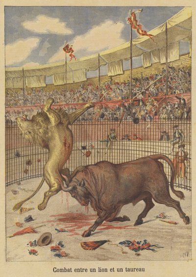 aslan ve boğa arasındaki savaş by after Henri Meyer