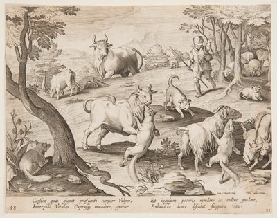 Tilkilerin saldırısına uğrayan boğalar ve keçiler by after Jan van der Straet, called Stradanus