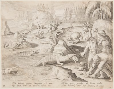 Timsah avı by after Jan van der Straet, called Stradanus