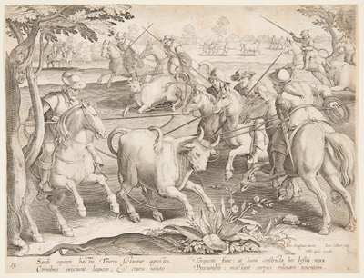 Vahşi boğaları yakalamak by after Jan van der Straet, called Stradanus