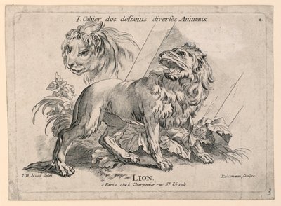 Aslan Çalışmaları, "Cahier des Desseins Diverses Animalaux"dan 4. Levha by after Jean Baptiste Huet