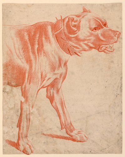 Bir Köpeğin Ön Kısmı by after Jean Baptiste Huet