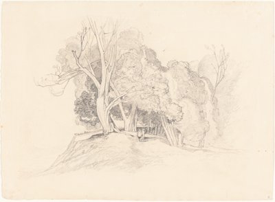Ağaçlarla Peyzaj by after John Sell Cotman British 19th Century