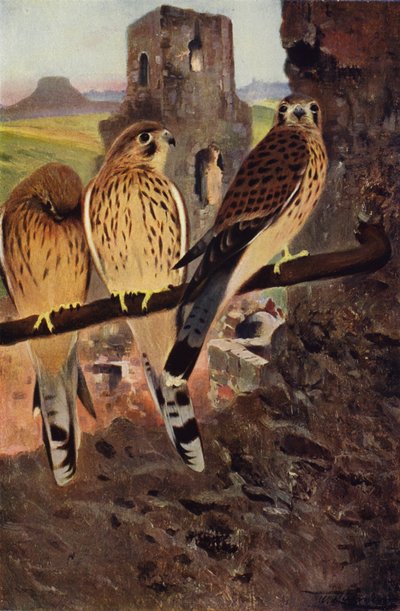 Kerkenez by after Wilhelm Kuhnert