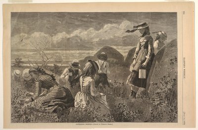 Meyve Toplama by after Winslow Homer