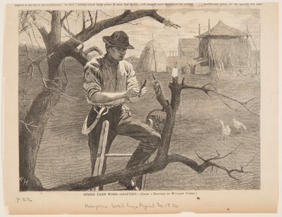 Bahar Çiftliği Çalışması – Aşılama by Winslow Homer