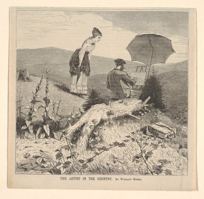 The Artist in the Country, Appletons