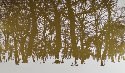 Hayat ağaçları, 2017, kağıt üzerine sıcak damgalama yaprak rulosu by angus hampel