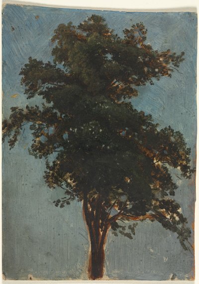 Ağaç Çalışması by attributed to Alexandre Calame