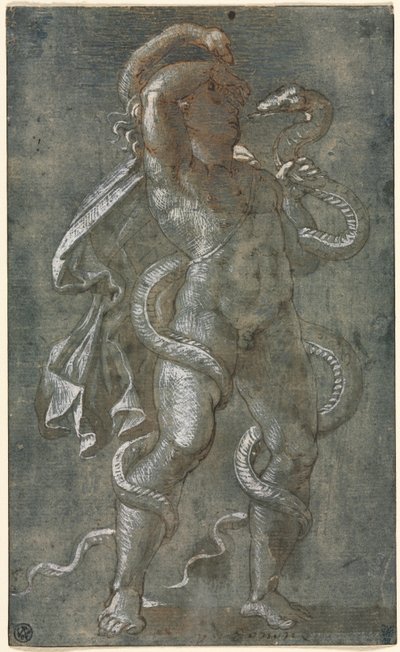 İki Yılanla Sarılmış Adam by attributed to Giovanni Antonio da Pordenone