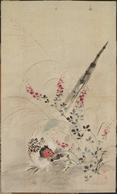 Sülün ve Otlar by attributed to Ogata Kōrin