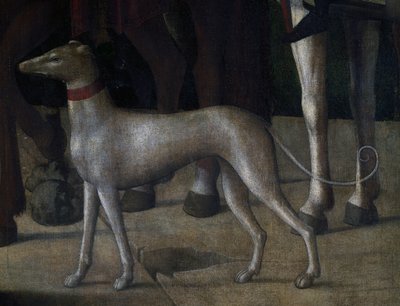 Köpek, Çarmıha Gerilme