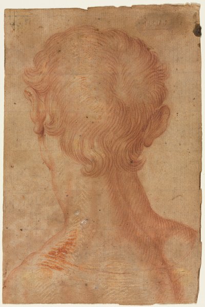 Adamın Kafası Arkadan by copy after Agnolo Bronzino