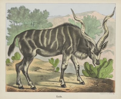 Kudu (nesne üzerindeki başlık) by firma Joseph Scholz