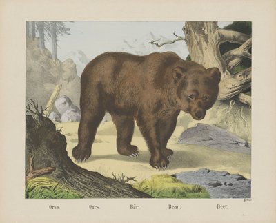 Orso. / Bizimki. / Çubuk. / Ayı. / Bira (nesne üzerindeki başlık) by firma Joseph Scholz