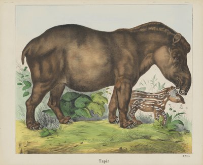 Tapir (nesne üzerindeki başlık) by firma Joseph Scholz